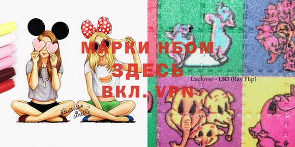 мдпв Богородицк