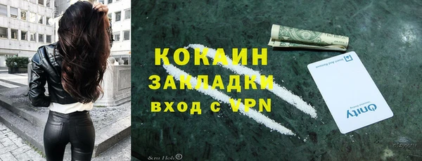мдпв Богородицк