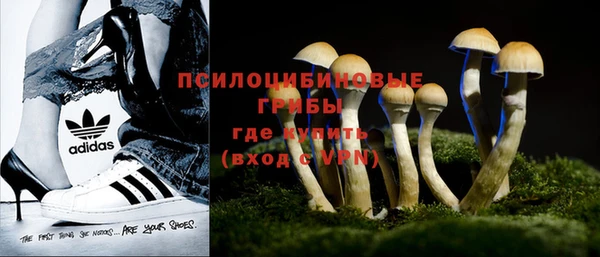 дмт Заволжск