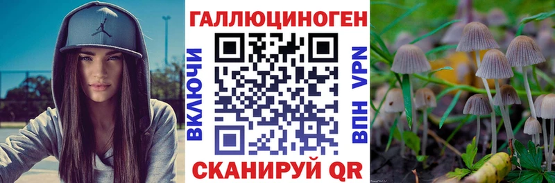 Псилоцибиновые грибы прущие грибы  Буйнакск 