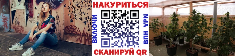Шишки марихуана марихуана Буйнакск